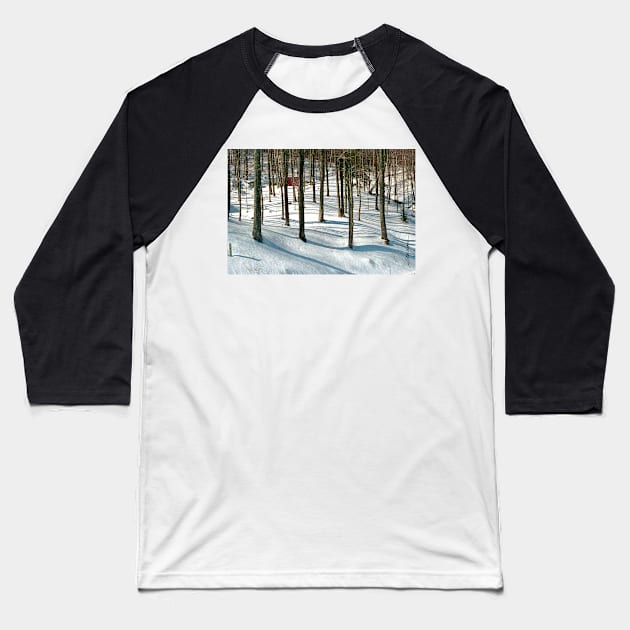 Into the Woods Baseball T-Shirt by srwdesign